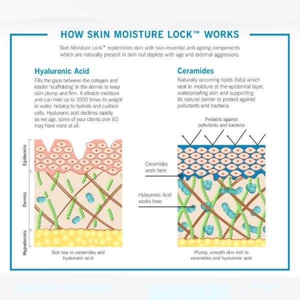 How Moisture Lock Works