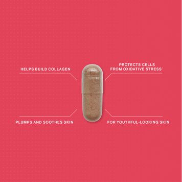 Advanced Nutrition Programme Skin Collagen Support 60 Capsules