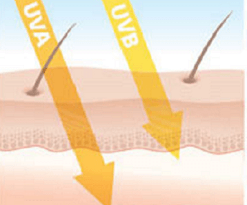 What's the difference between UVA & UVB rays?