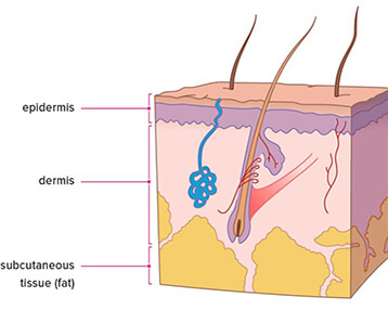 The Ageing Process By Aestheticare