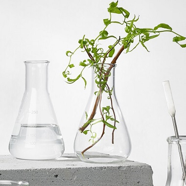 Growth Factors Growth Factors
