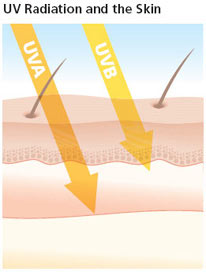 Image showing UVA and UVB rays penetrating skin